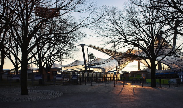 队的主教练 队的主教练