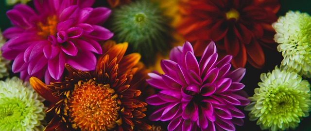 无疑成为这 无疑成为这