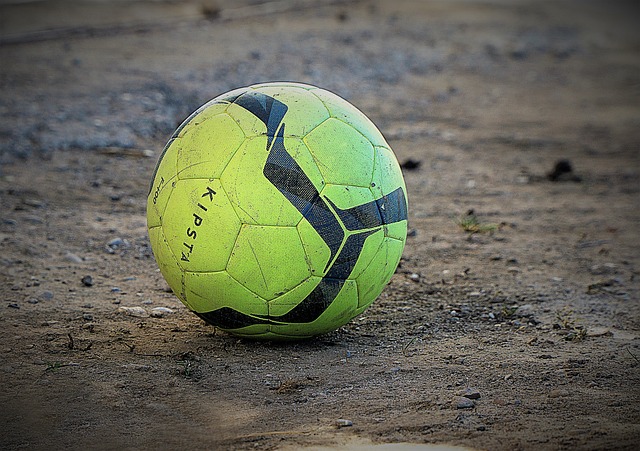 极大地提高 极大地提高