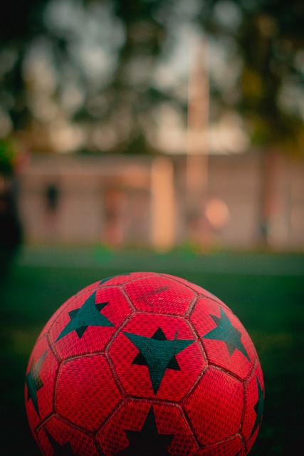 的购买欲望 的购买欲望