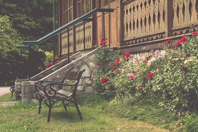 稳步上升 稳步上升