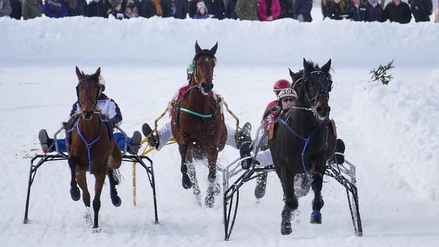 通过这次胜 通过这次胜
