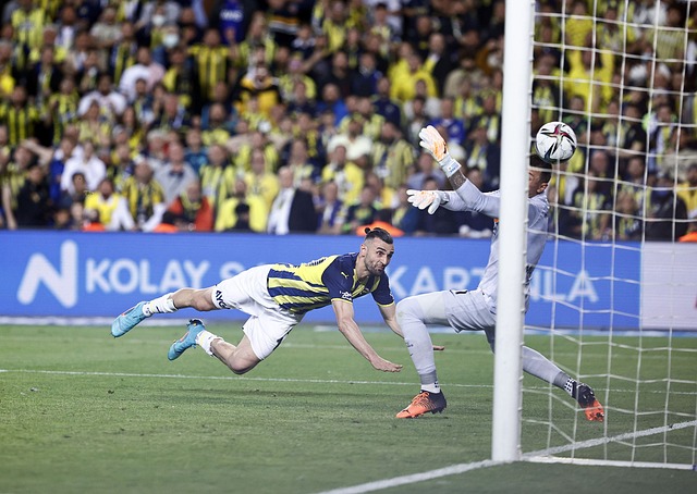 显著的经济 显著的经济