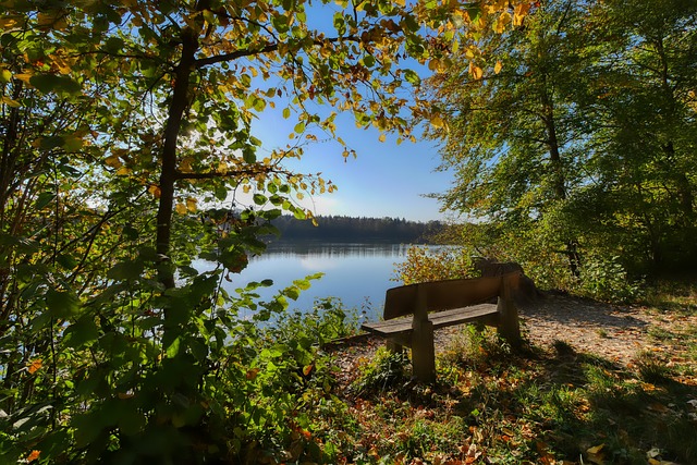 默契与配合 默契与配合