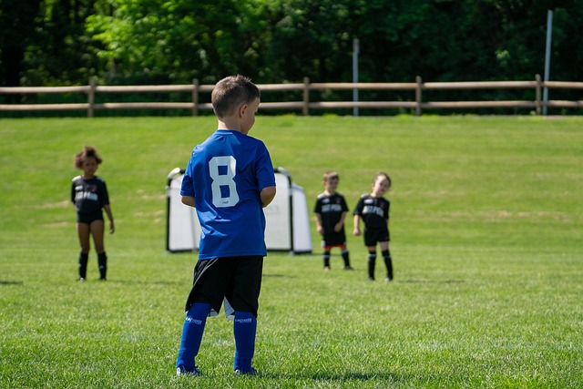 拟的优势 拟的优势