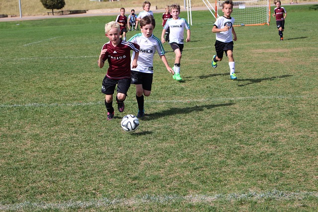 他們的身心 他們的身心