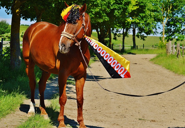 因此能在这 因此能在这
