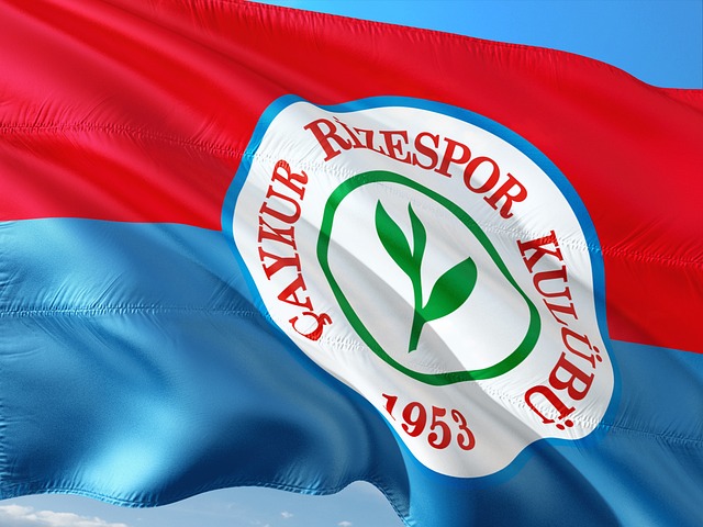 他需要在团 他需要在团